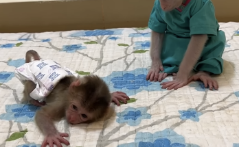 Congratulations! Two Siblings Playing Happily at Home