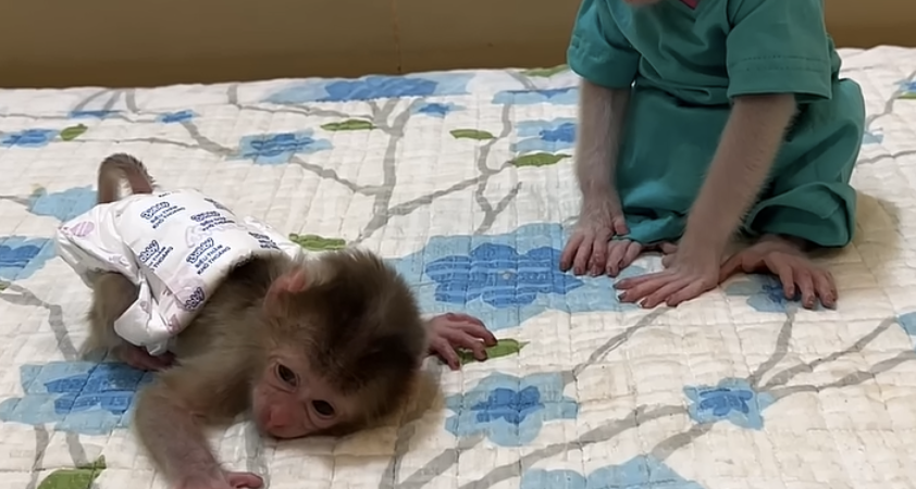 Congratulations! Two Siblings Playing Happily at Home