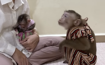 Good Queen Jenny Takes Baby Linda from Her Mom to Care for Her