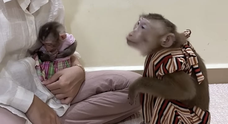 Good Queen Jenny Takes Baby Linda from Her Mom to Care for Her