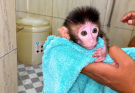 LILLY YOU TAKE A SHOWER VERY FORCED, LILLY DOESN’T LIKE WARM WATER